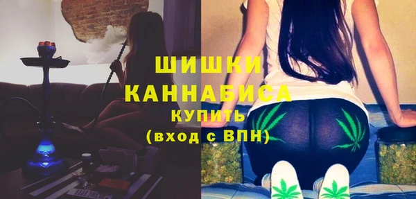 гашик Заводоуковск