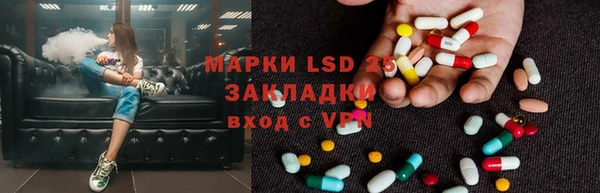 гашик Заводоуковск