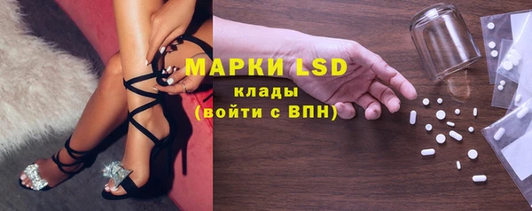 гашик Заводоуковск