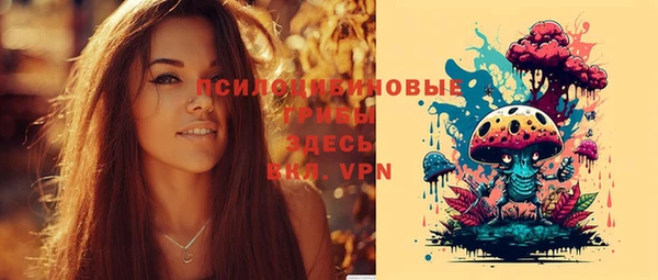гашик Заводоуковск
